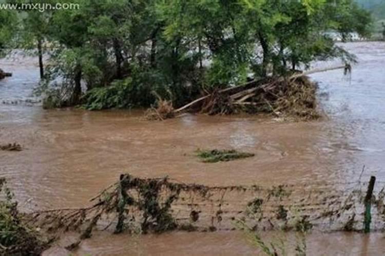 梦见发洪水自己逃跑成功