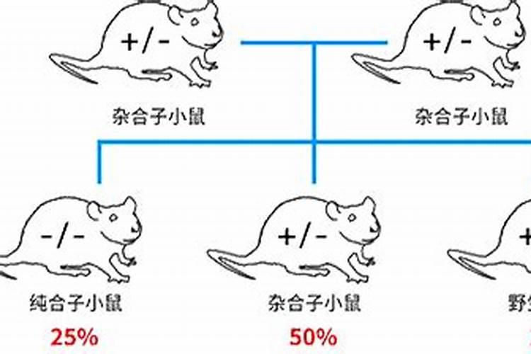 2023年本命年什么时候穿红色