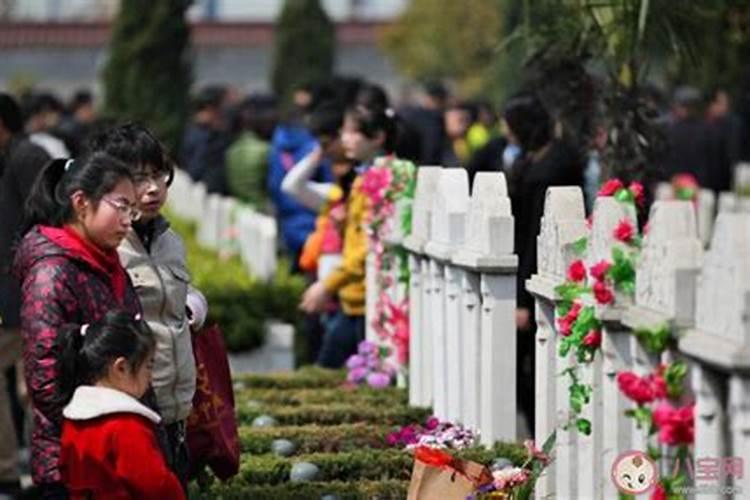 清明节去山上祭祖