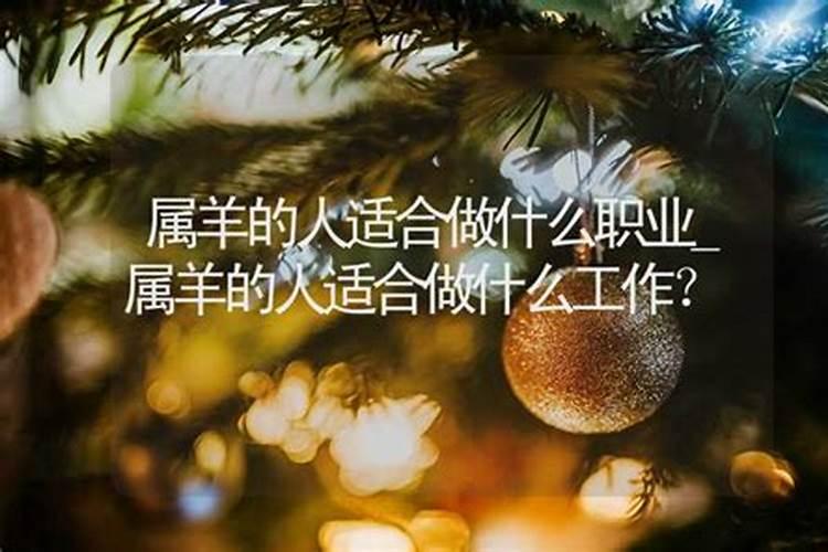 属羊人适合干什么职业