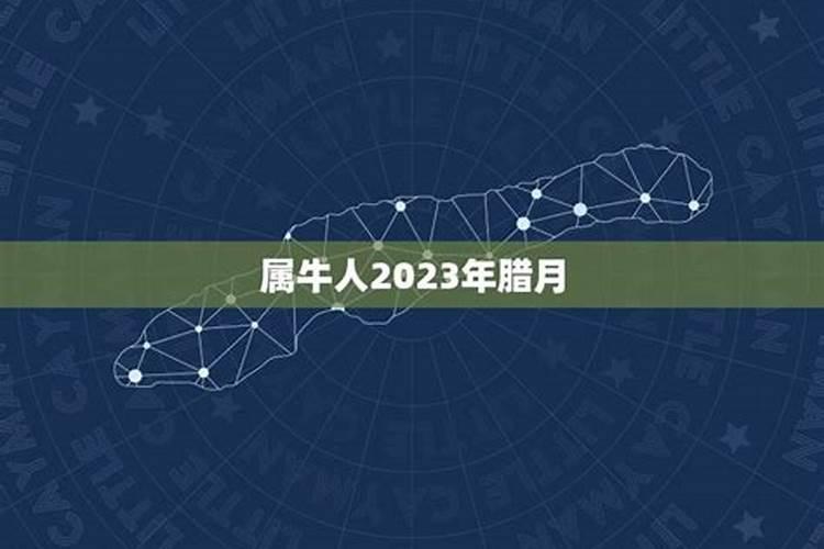 2023年腊月牛人运气