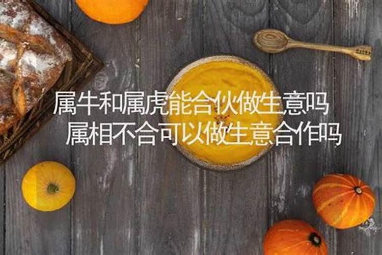 属相不合可以做朋友吗