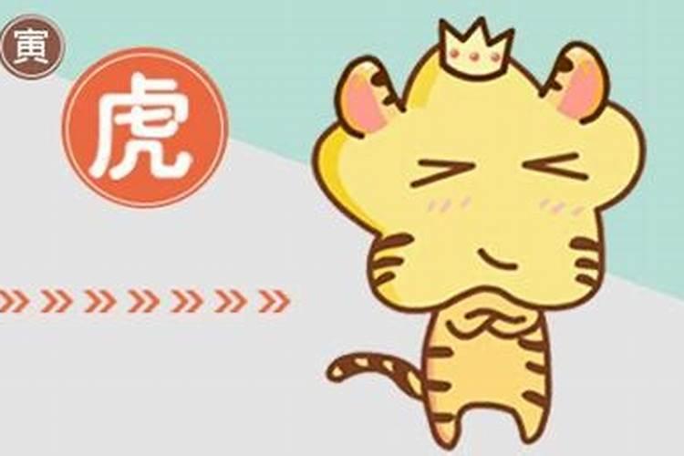 猪跟虎八字合不合