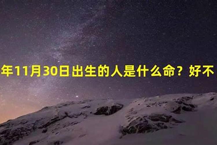 生肖鼠的2025年运势如何