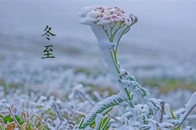 杭州冬至祭祖扫墓时间