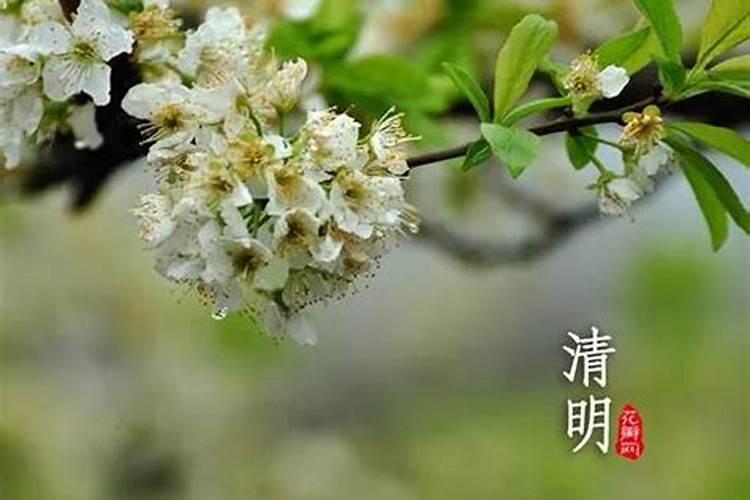 清明节哪里有雨雪