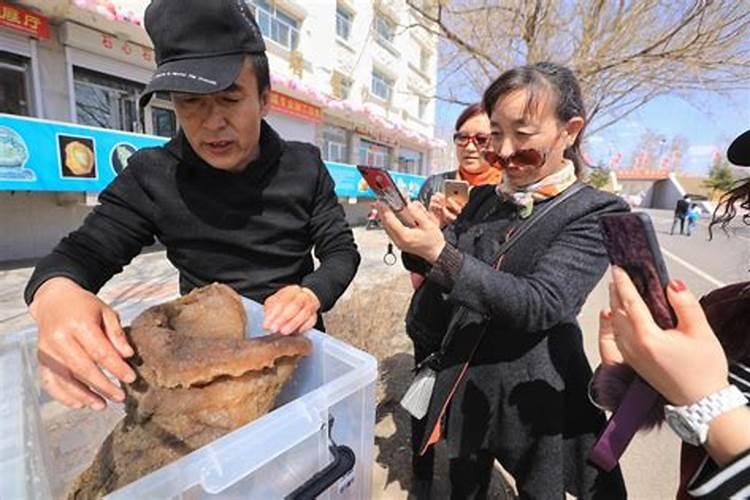 地里挖出太岁是什么东西