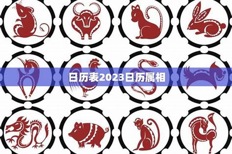 1971年属猪的2023年运程如何