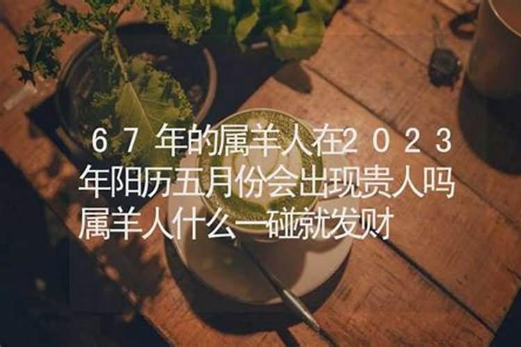 属羊的怎么旺自己的财运？