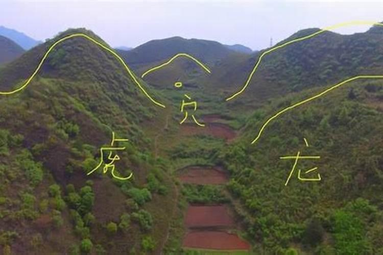 左青龙右白虎建筑风水