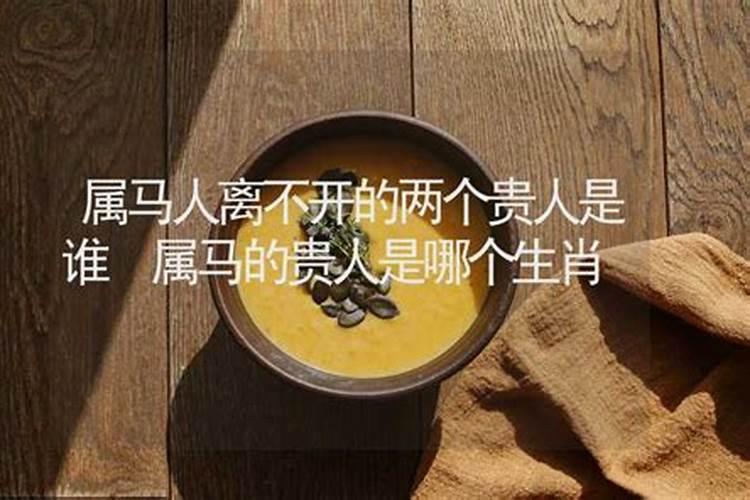 属马的最忌讳什么属相