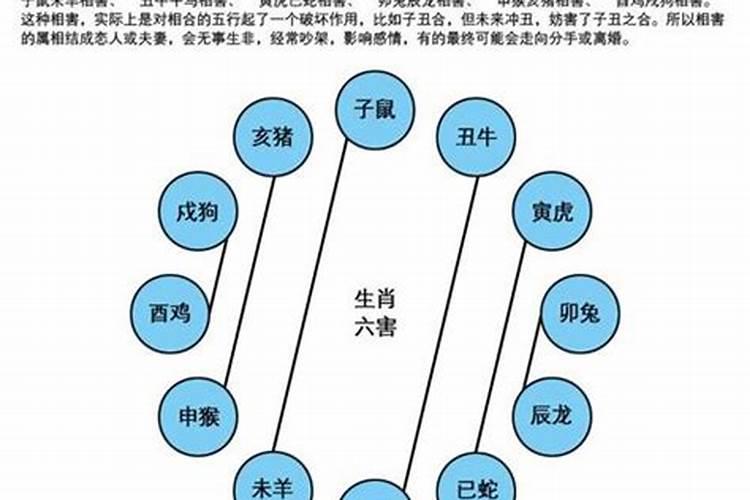 属相根据什么定相生相克