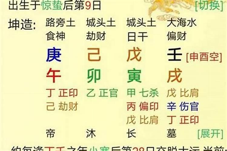 八字大运中的食是什么意思