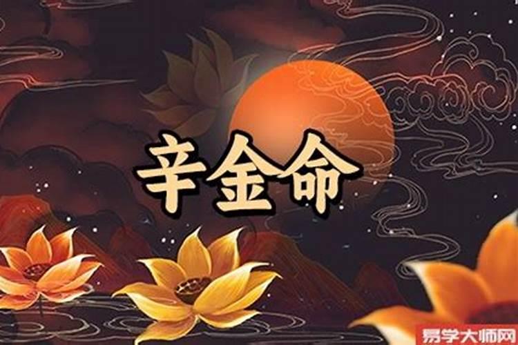 命理大师论辛金