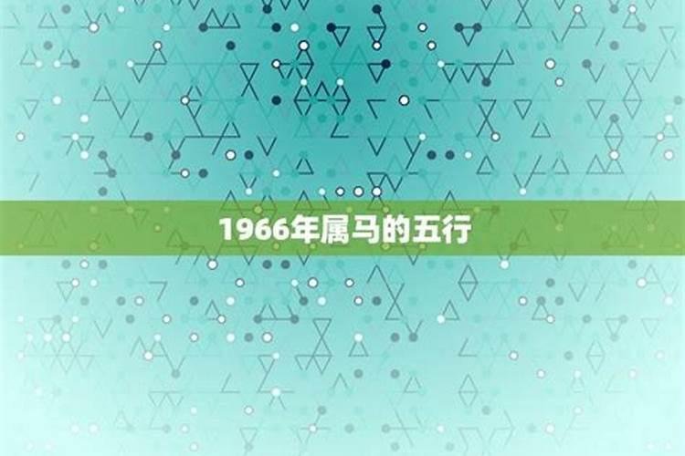 1966年属马的五行是什么