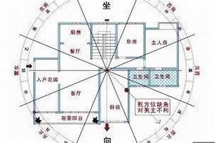 怎么看生辰八字坐的字