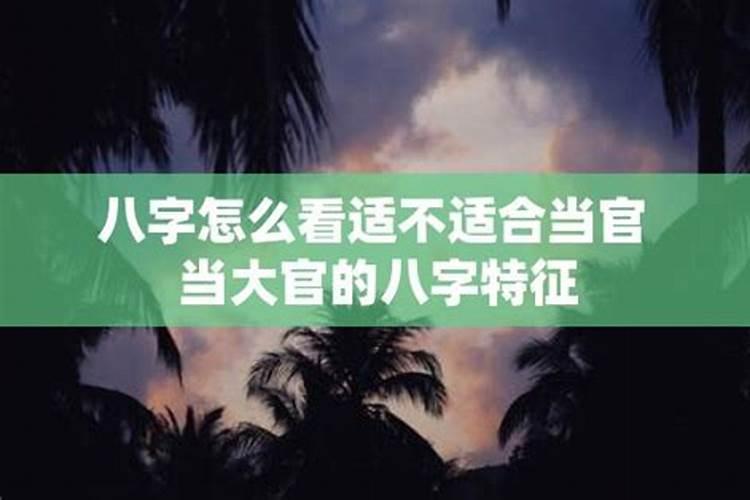 八字不适合当官的却当了官