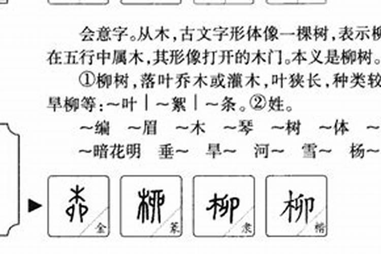 柳字解生肖