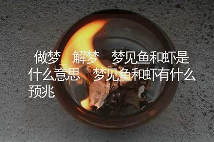 梦见鱼和虾是什么意思