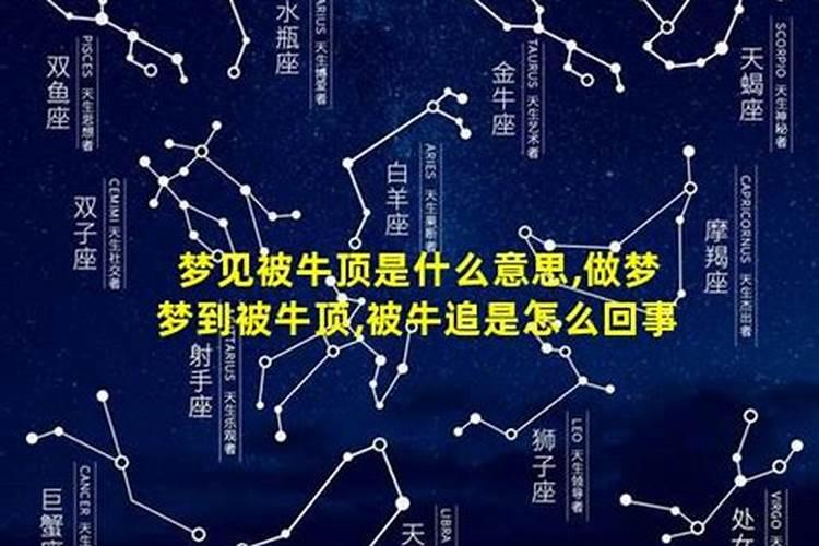 梦见被牛追是什么意思