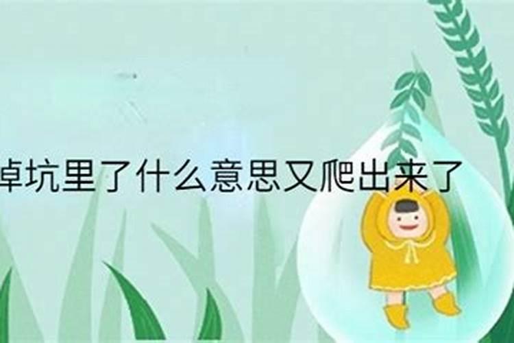 梦见坐车掉河里了自己又爬出来了