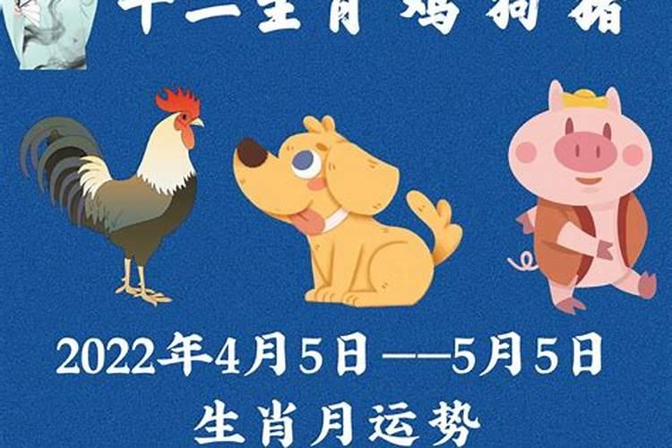 属鸡月份运势2021