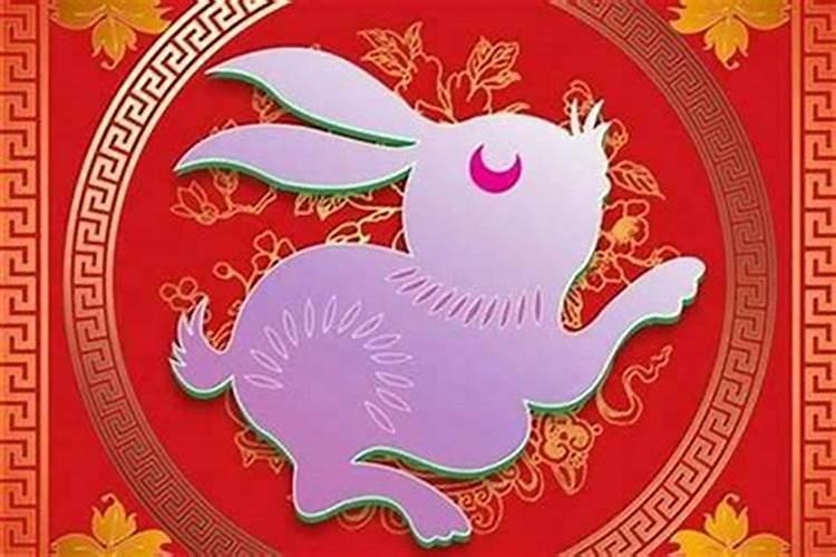 属兔的今年婚姻好不好如何破解