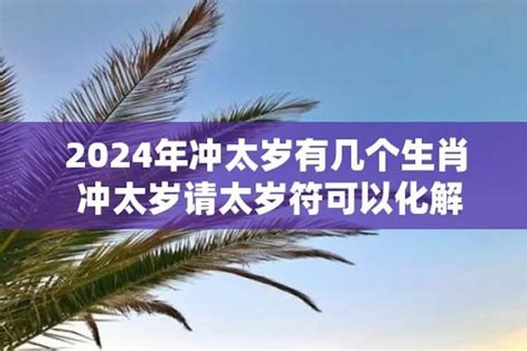 属虎女在2023年运势