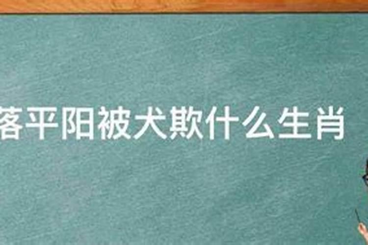 虎落平阳被犬欺下一句是什么生肖