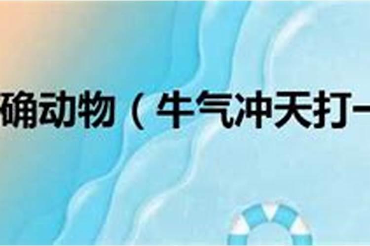 牛气冲天指什么生肖数字