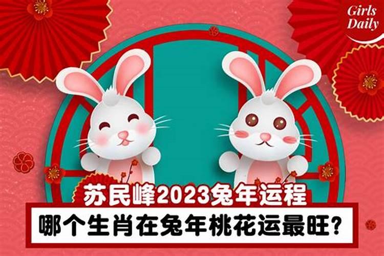 兔明年的运势如何2023