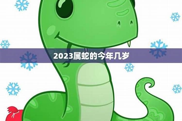 属蛇今年多少岁了2020年出生