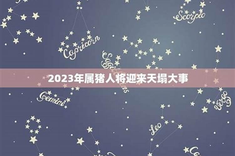 属猪的2023年的运势怎么样