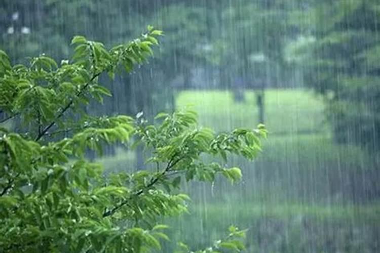 怀孕梦见下雨淋雨了怎么回事