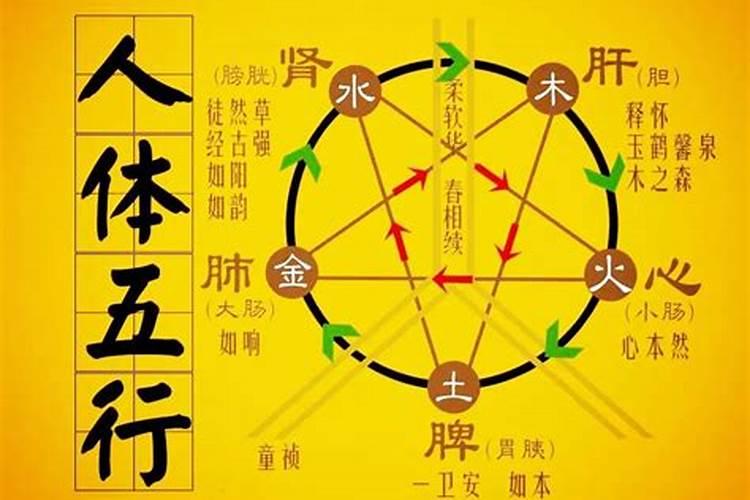 让的五行属性是什么