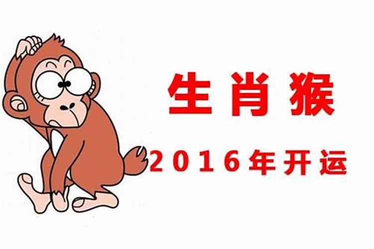 2016属猴本命年要注意什么呢女孩