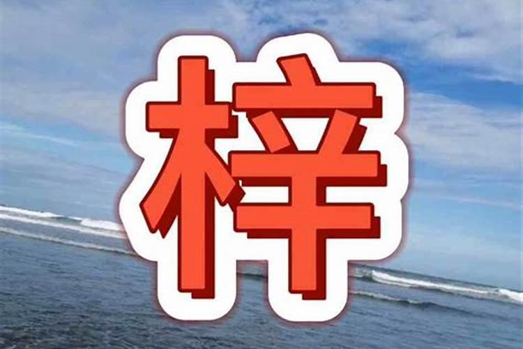 梓宸名字五行属什么