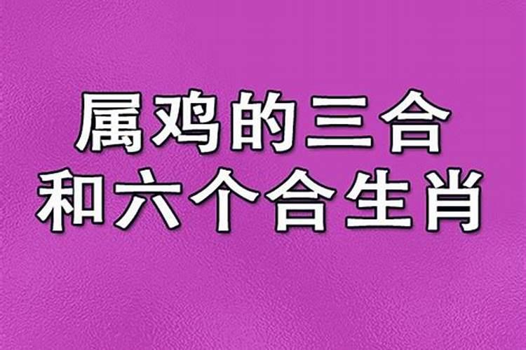 属鸡和什么属相是三合