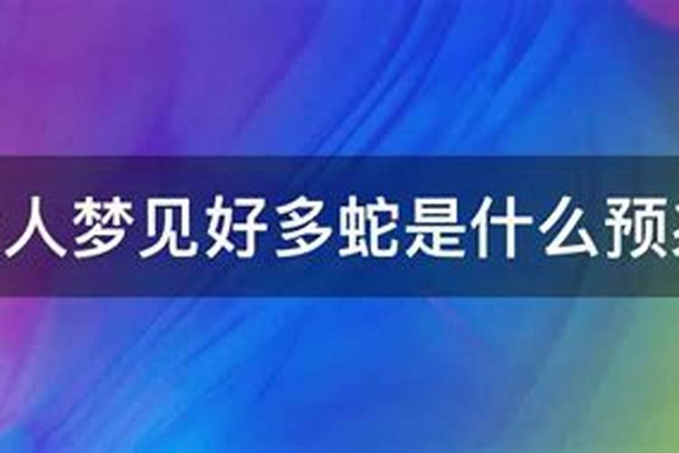 中年女人梦见黑蛇是什么预兆解梦