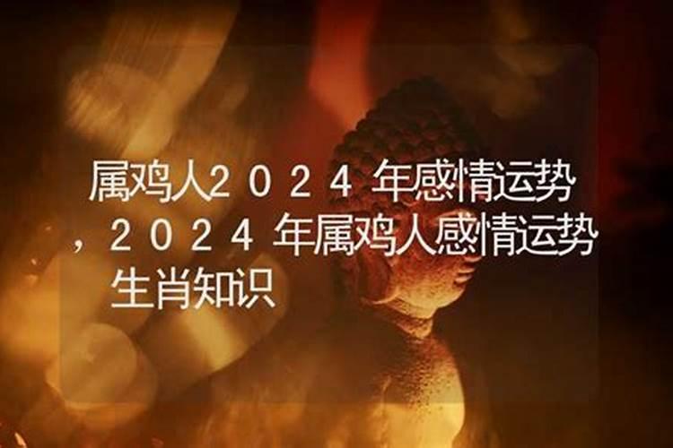 2019属虎人全年运势运程