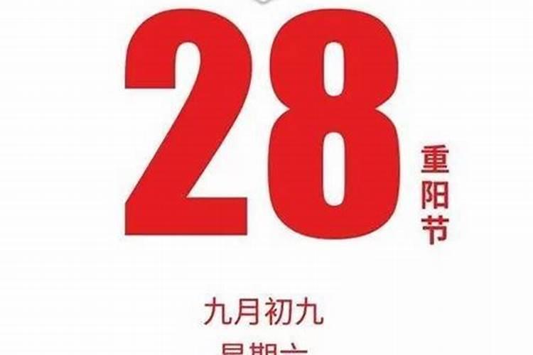 28日生人命运如何