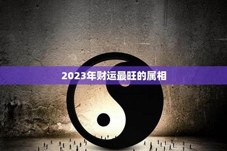 2023年发财的属相