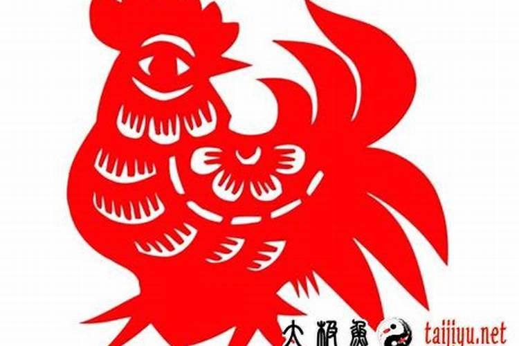 鸡宝宝起名字