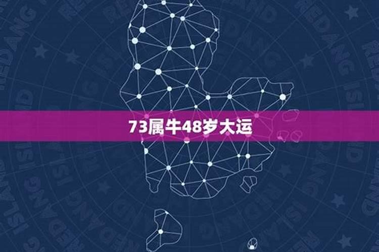 73属牛48岁女大运,78年属马女和73年的属牛男婚姻