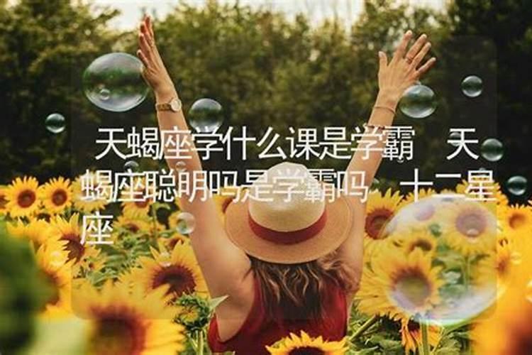 梦见偷摘枣子是什么意思