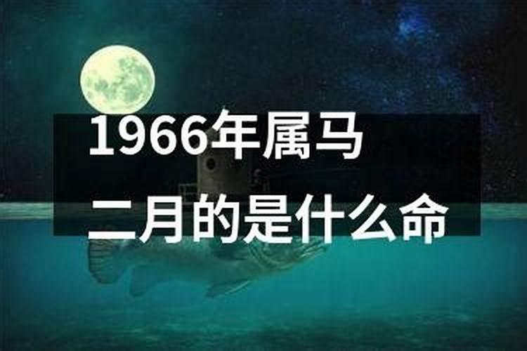 1966年属马的啥命