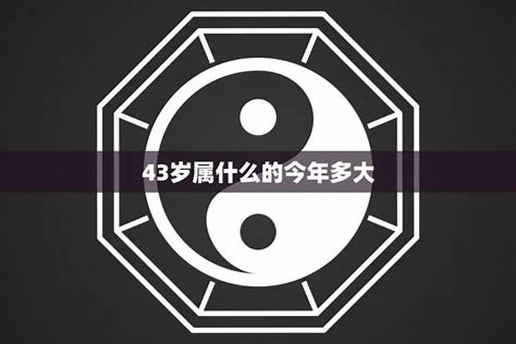 今天43岁是属什么的