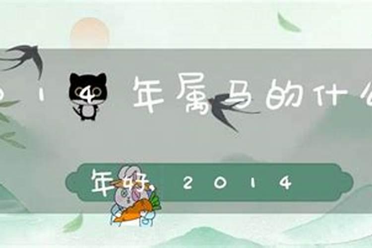 2014年属马2月是什么命