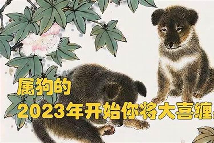 属狗的2023年能装修房子吗吉利吗