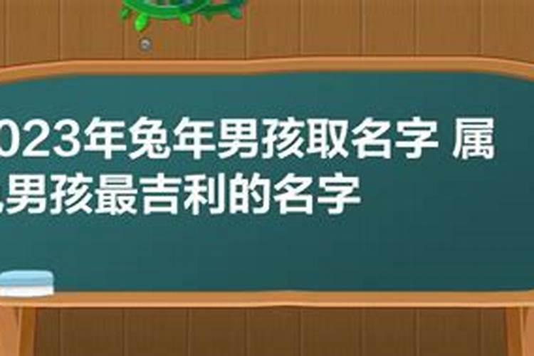 2023年属猪取什么名字好听